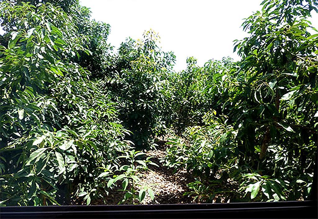 Casa Villa Tenerife Las Galletas Extérieur photo
